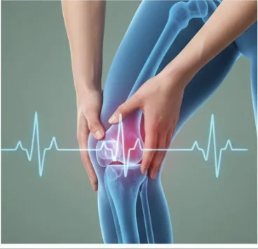 استرجاع الأموال